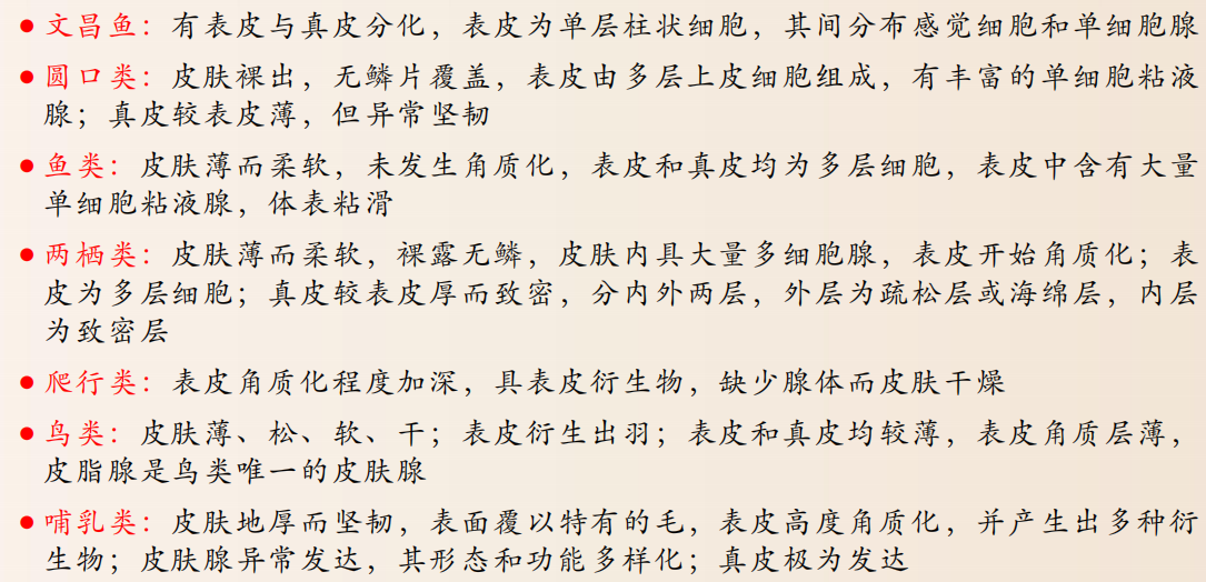 image-20250620143516450